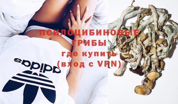 МДМА Алексеевка