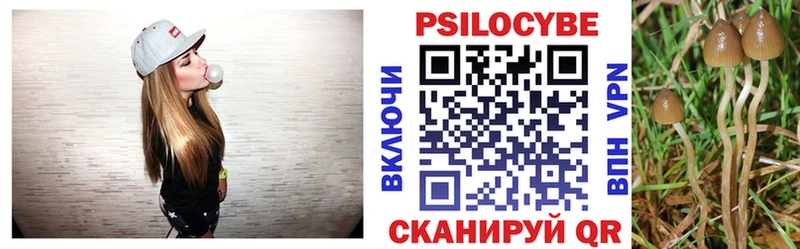 Псилоцибиновые грибы прущие грибы  цена наркотик  Юрьевец 